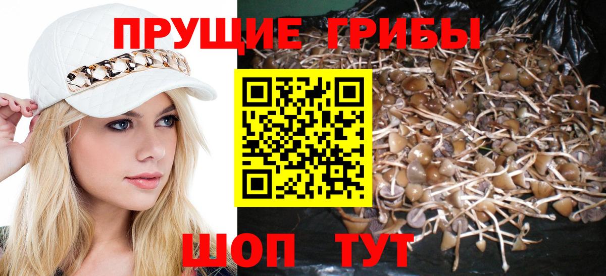 Псилоцибиновые грибы мухоморы Екатеринбург