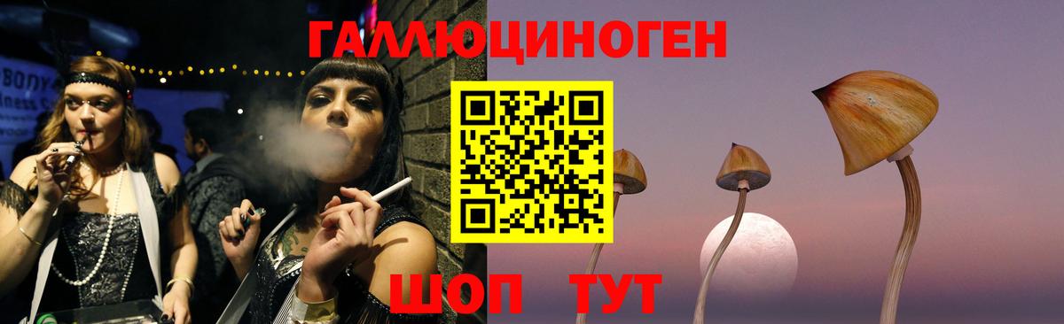 Галлюциногенные грибы Psilocybine cubensis  Вход с VPN  Екатеринбург 