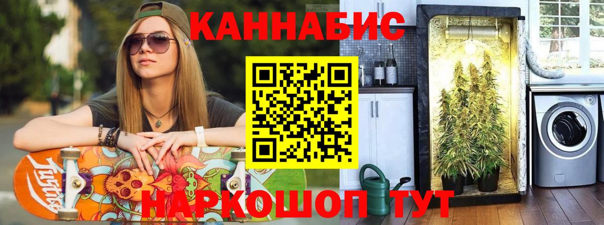Конопля сатива Екатеринбург