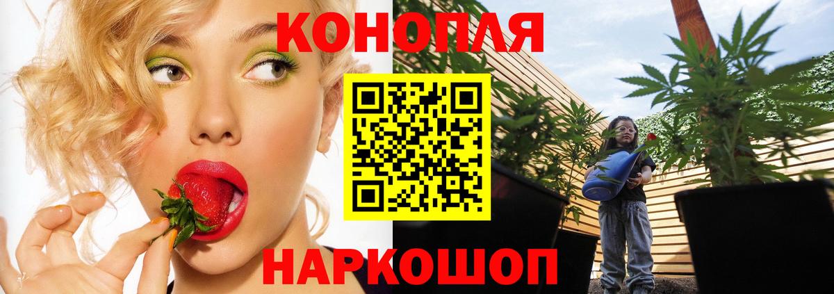Бошки марихуана AK-47  Вход с VPN  Екатеринбург  Бошки марихуана White Widow  Каннабис Amnesia 
